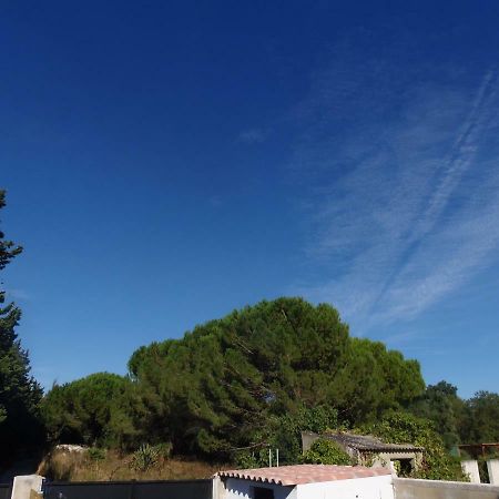 Joli Mazet Entre Montpellier Et Nimes Daire Aimargues Dış mekan fotoğraf